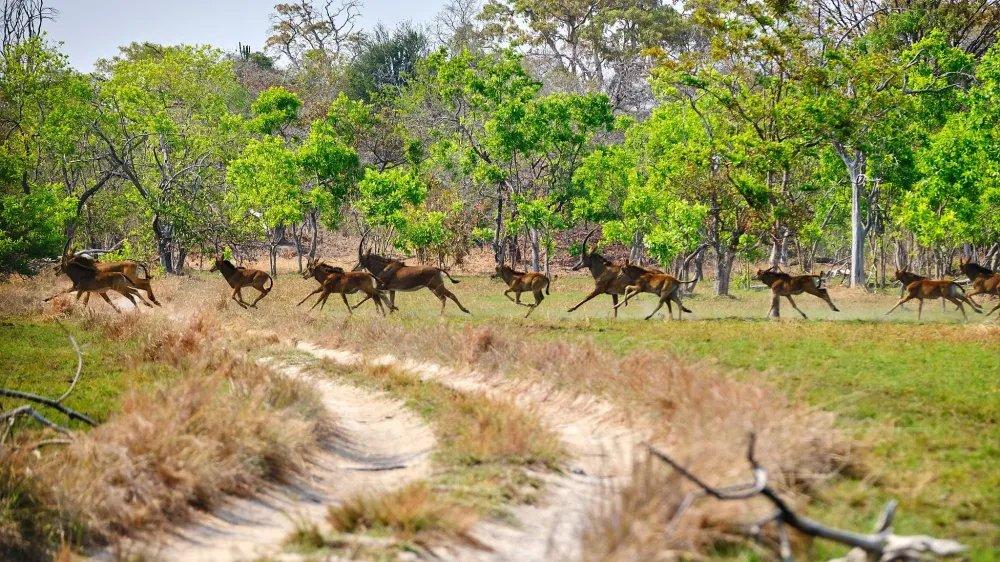 Ugalla River National Park