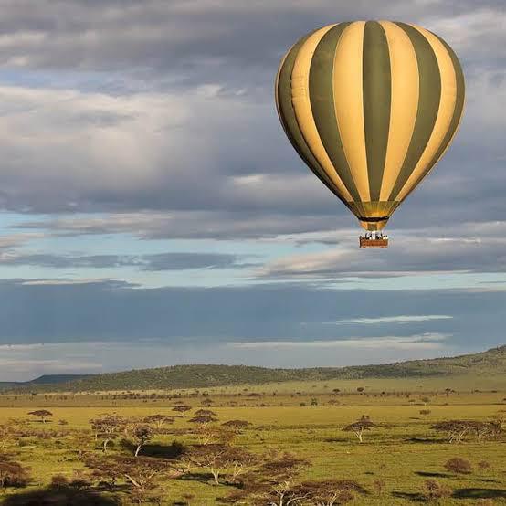About Africa Gateway Safaris